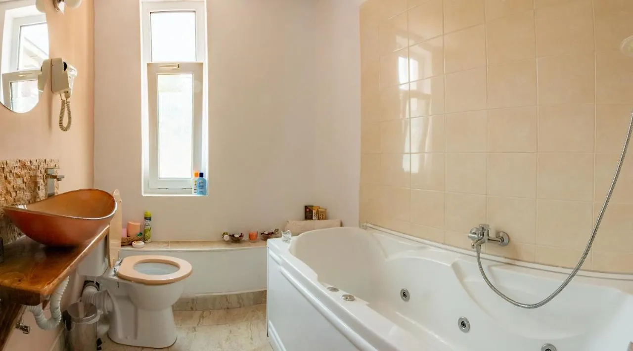 Guest House Sophie Roumanie