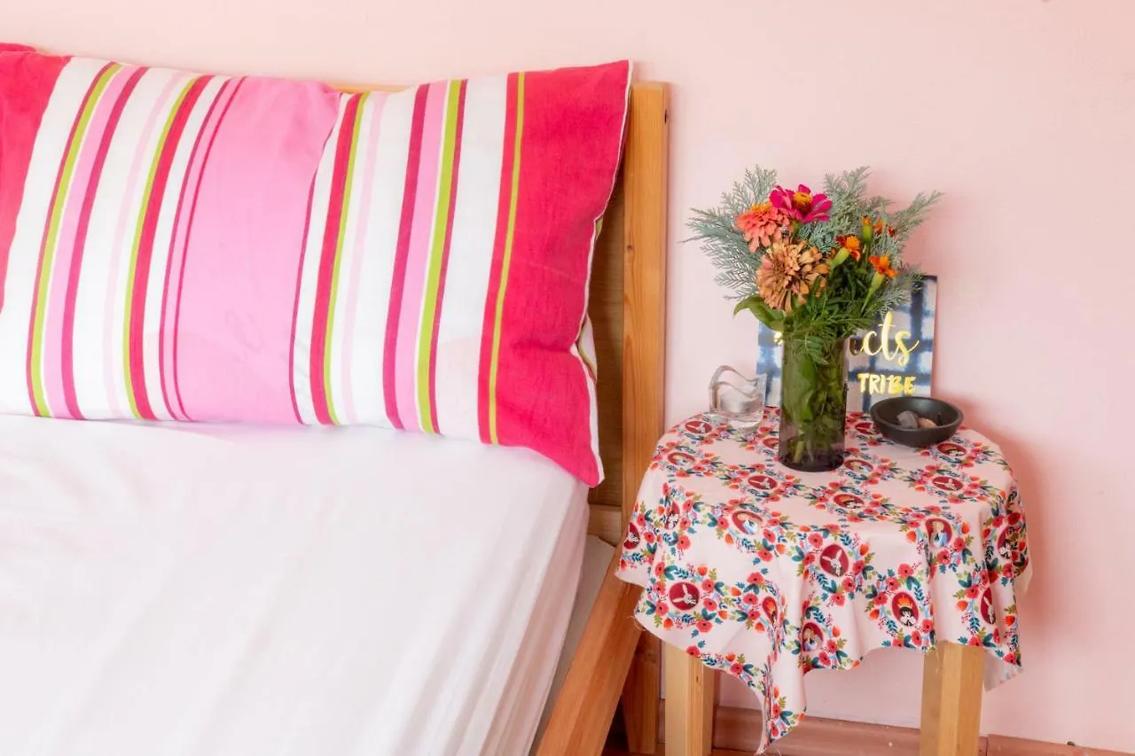 Guest House Sophie Roumanie